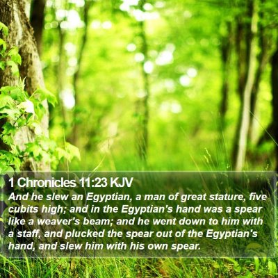 1 Chronicles 11:23 KJV Bible Verse Image
