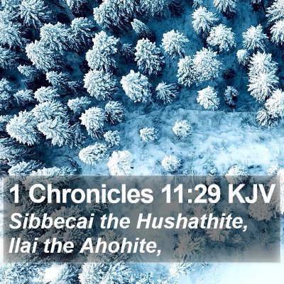 1 Chronicles 11:29 KJV Bible Verse Image