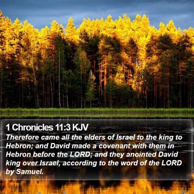 1 Chronicles 11:3 KJV Bible Verse Image