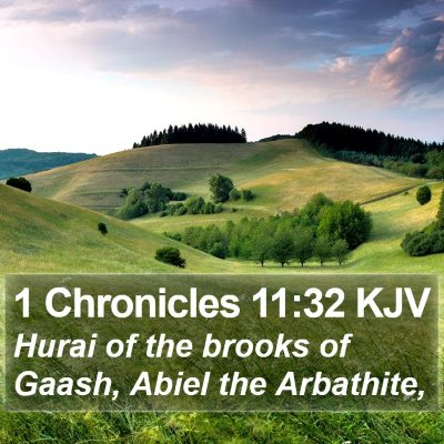 1 Chronicles 11:32 KJV Bible Verse Image