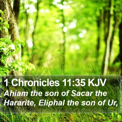 1 Chronicles 11:35 KJV Bible Verse Image
