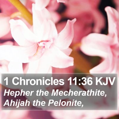 1 Chronicles 11:36 KJV Bible Verse Image