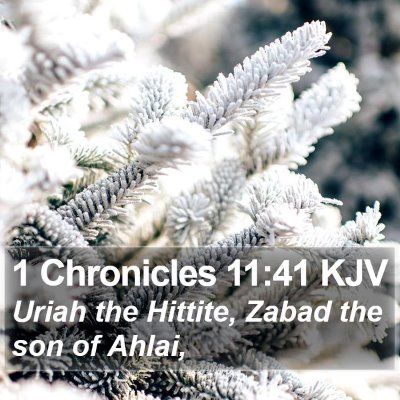 1 Chronicles 11:41 KJV Bible Verse Image