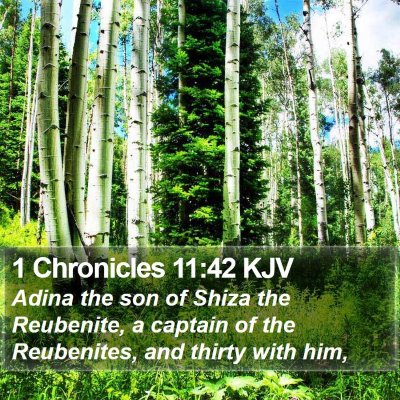 1 Chronicles 11:42 KJV Bible Verse Image