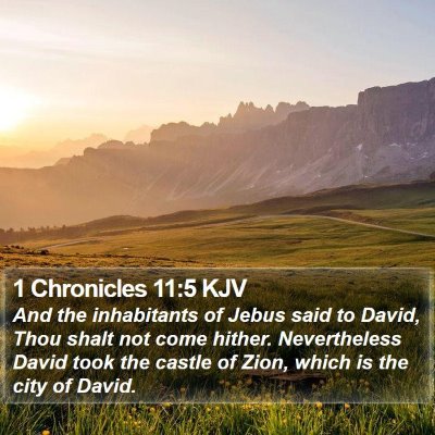 1 Chronicles 11:5 KJV Bible Verse Image