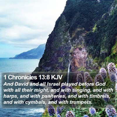 1 Chronicles 13:8 KJV Bible Verse Image