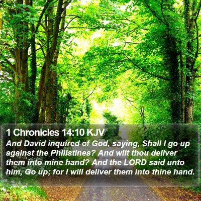 1 Chronicles 14:10 KJV Bible Verse Image