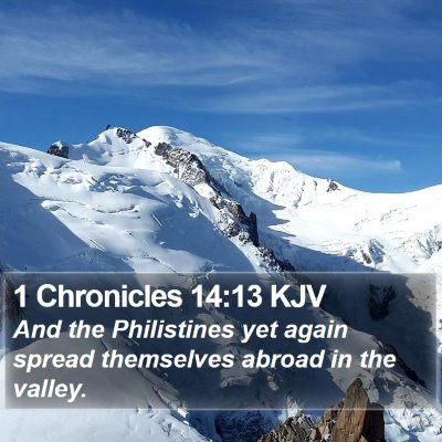 1 Chronicles 14:13 KJV Bible Verse Image
