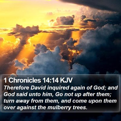 1 Chronicles 14:14 KJV Bible Verse Image