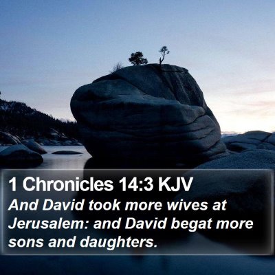 1 Chronicles 14:3 KJV Bible Verse Image