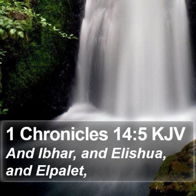 1 Chronicles 14:5 KJV Bible Verse Image