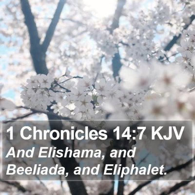 1 Chronicles 14:7 KJV Bible Verse Image