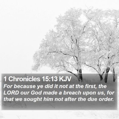 1 Chronicles 15:13 KJV Bible Verse Image