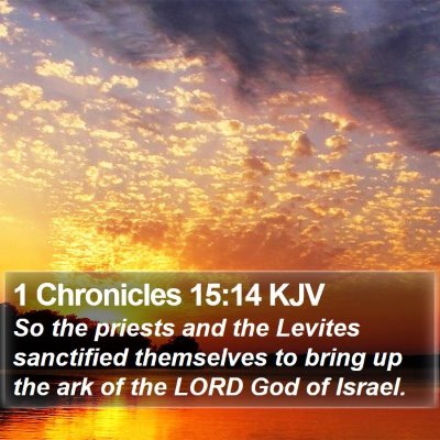 1 Chronicles 15:14 KJV Bible Verse Image