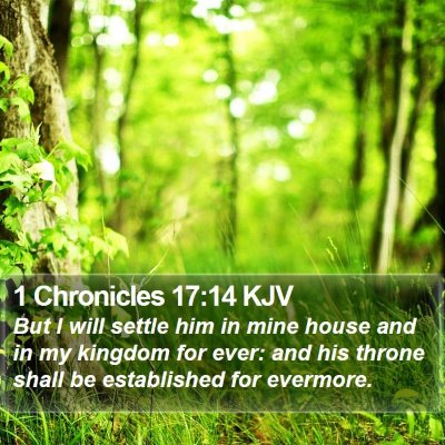 1 Chronicles 17:14 KJV Bible Verse Image