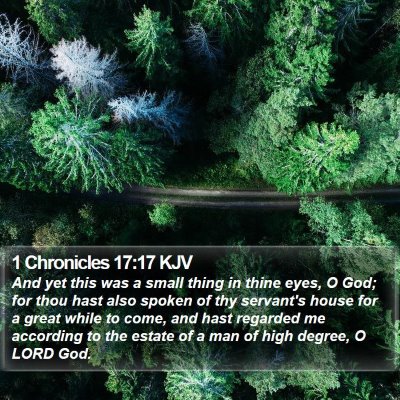 1 Chronicles 17:17 KJV Bible Verse Image