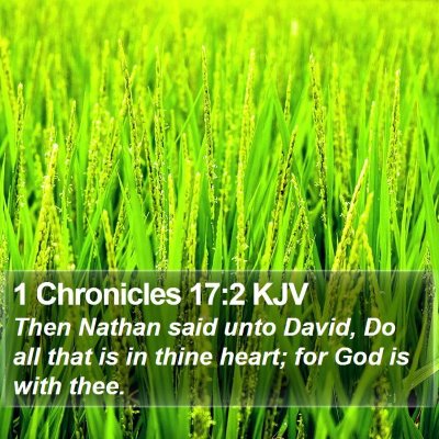 1 Chronicles 17:2 KJV Bible Verse Image