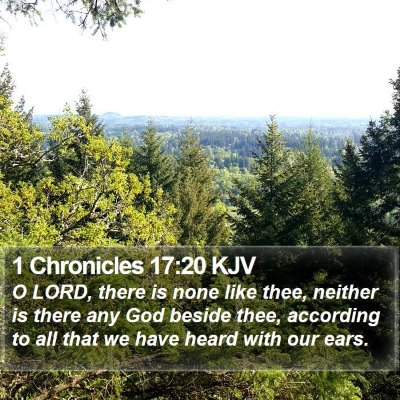 1 Chronicles 17:20 KJV Bible Verse Image