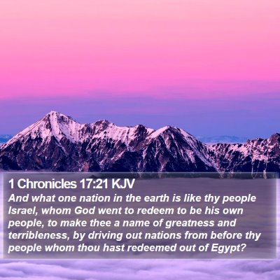 1 Chronicles 17:21 KJV Bible Verse Image
