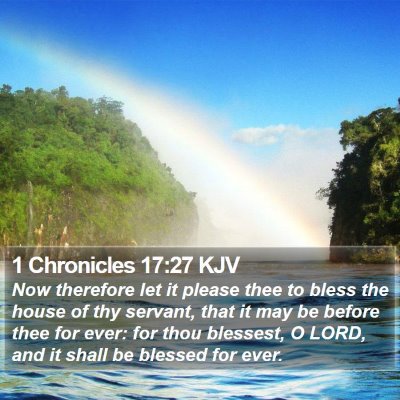 1 Chronicles 17:27 KJV Bible Verse Image