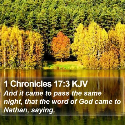 1 Chronicles 17:3 KJV Bible Verse Image