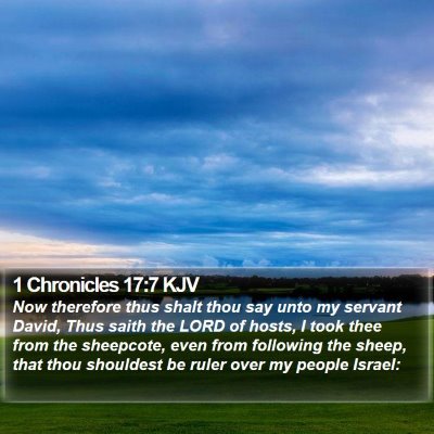 1 Chronicles 17:7 KJV Bible Verse Image