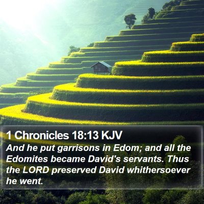 1 Chronicles 18:13 KJV Bible Verse Image