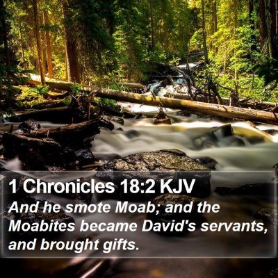 1 Chronicles 18:2 KJV Bible Verse Image