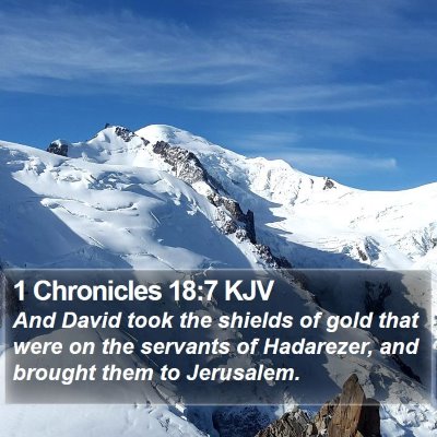 1 Chronicles 18:7 KJV Bible Verse Image