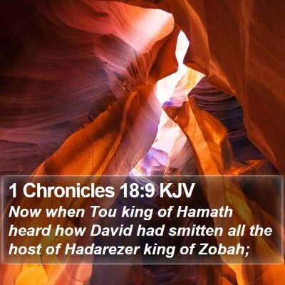1 Chronicles 18:9 KJV Bible Verse Image