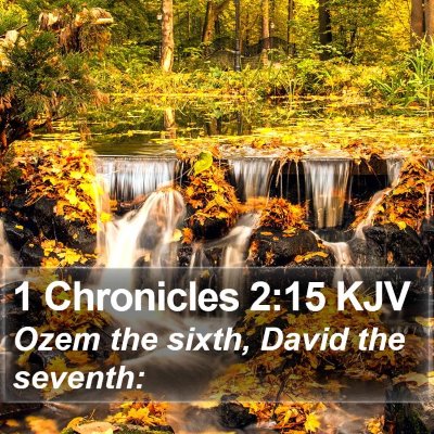 1 Chronicles 2:15 KJV Bible Verse Image