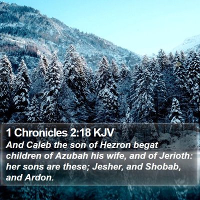 1 Chronicles 2:18 KJV Bible Verse Image