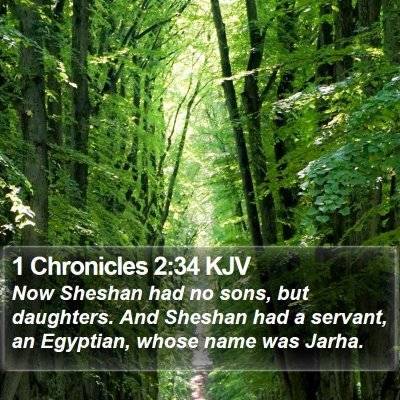 1 Chronicles 2:34 KJV Bible Verse Image
