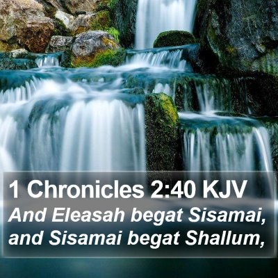 1 Chronicles 2:40 KJV Bible Verse Image