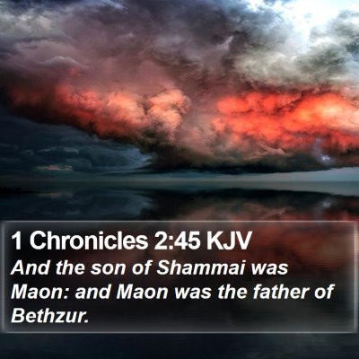 1 Chronicles 2:45 KJV Bible Verse Image