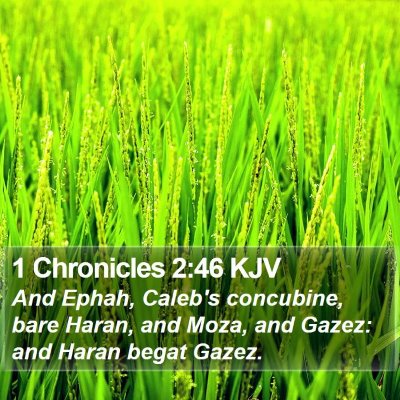 1 Chronicles 2:46 KJV Bible Verse Image