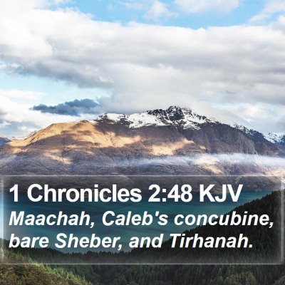 1 Chronicles 2:48 KJV Bible Verse Image