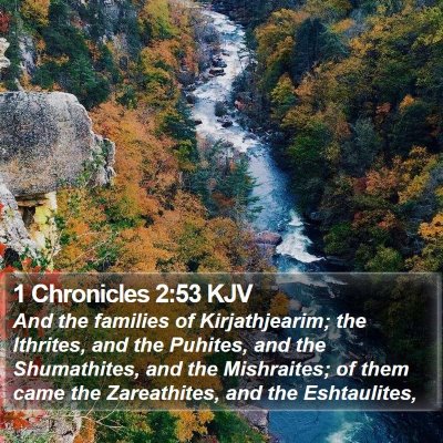 1 Chronicles 2:53 KJV Bible Verse Image