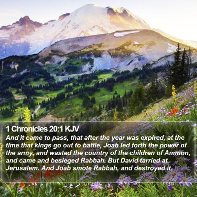 1 Chronicles 20:1 KJV Bible Verse Image
