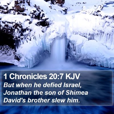 1 Chronicles 20:7 KJV Bible Verse Image