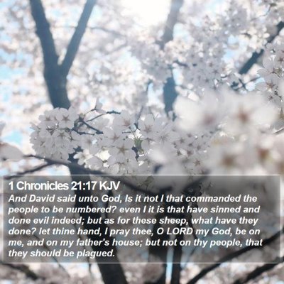 1 Chronicles 21:17 KJV Bible Verse Image