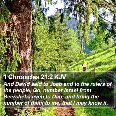 1 Chronicles 21:2 KJV Bible Verse Image