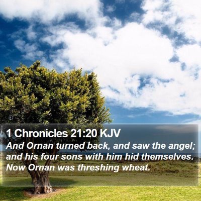 1 Chronicles 21:20 KJV Bible Verse Image