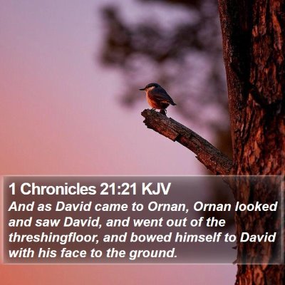 1 Chronicles 21:21 KJV Bible Verse Image
