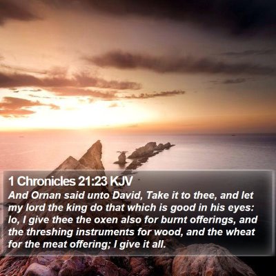 1 Chronicles 21:23 KJV Bible Verse Image