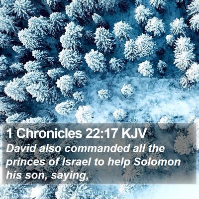 1 Chronicles 22:17 KJV Bible Verse Image