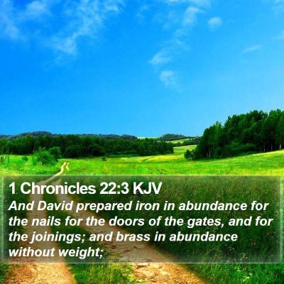 1 Chronicles 22:3 KJV Bible Verse Image