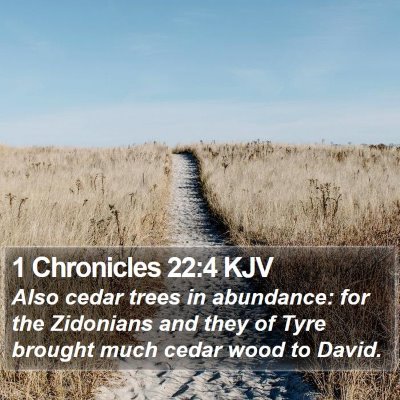 1 Chronicles 22:4 KJV Bible Verse Image