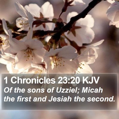 1 Chronicles 23:20 KJV Bible Verse Image