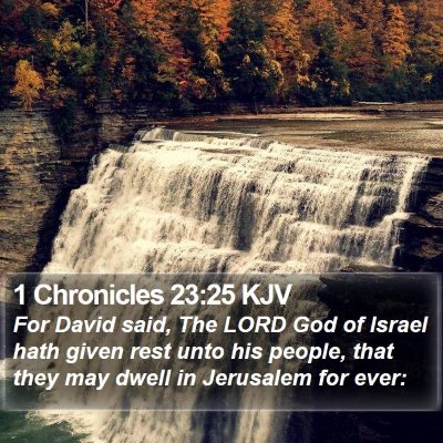 1 Chronicles 23:25 KJV Bible Verse Image